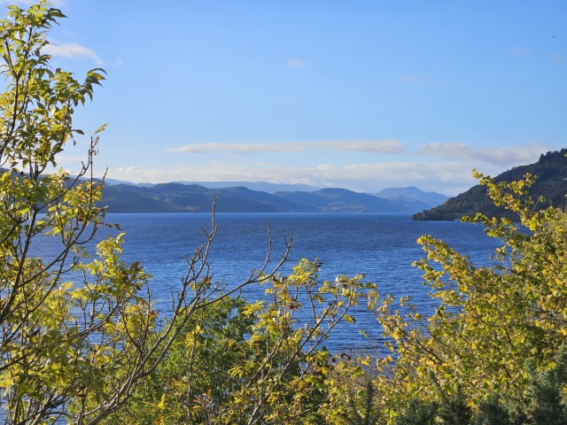 20231022_104650.jpg